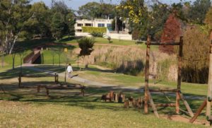 Take a Walk in the Park Day