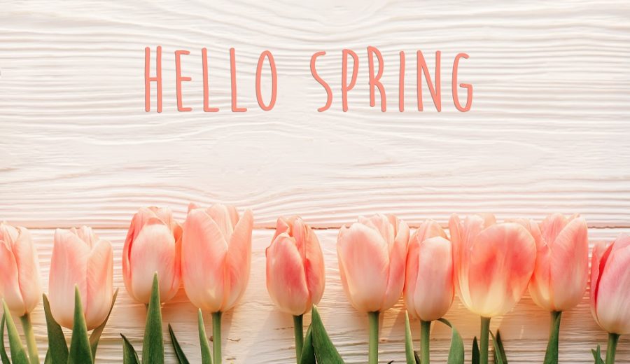 Welcoming Spring