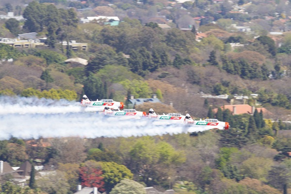 Puma Energy's Flying Lions photo 2